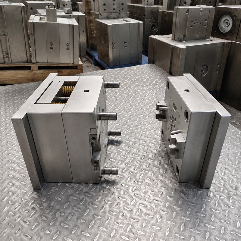 Multi-Cavity or Family Mold