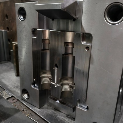 2 Cavity Molds